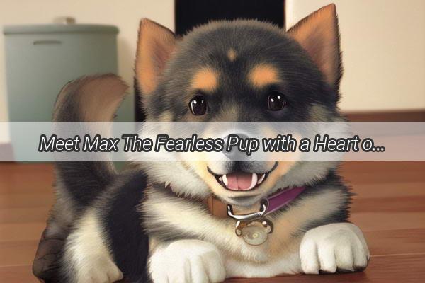 Meet Max The Fearless Pup with a Heart of Gold